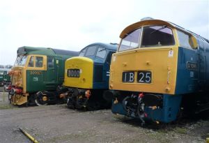 50007 45108 & D1048 at Swanwick Junction 16/1/11 Photo courtesy Bill Pizer